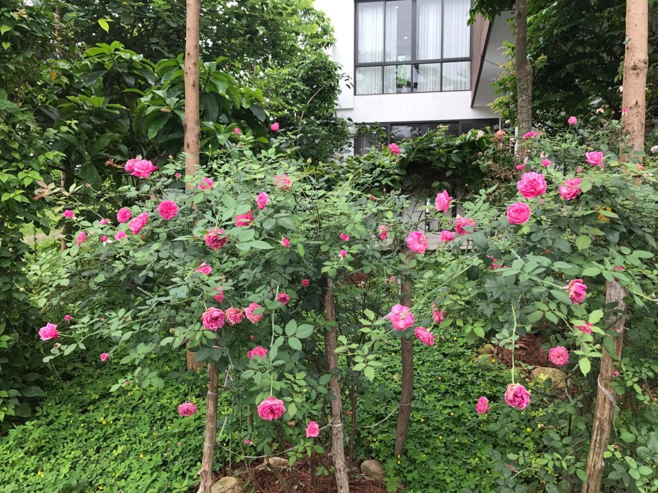 Flamingo Dailai - Hq Villa Ngoc Quang Esterno foto